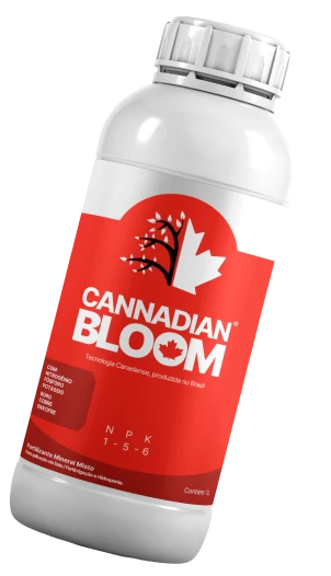BLOOM