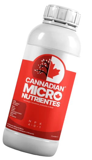 MICRO